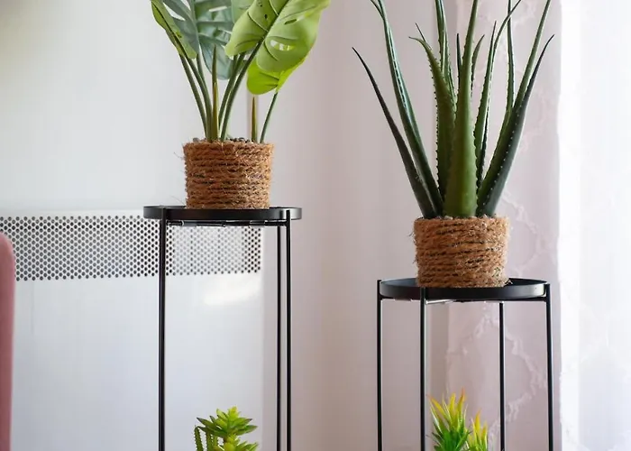 Aen Fine Living Edessa