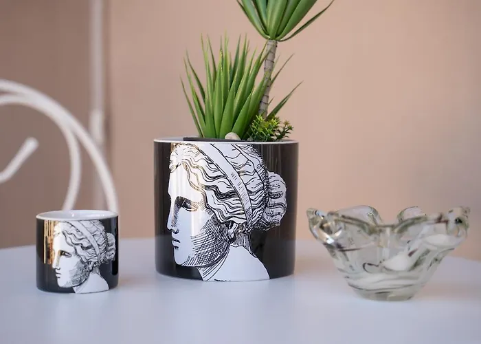 Aen Fine Living Apartment Edessa